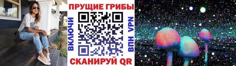 кракен онион  Ивдель  Псилоцибиновые грибы прущие грибы 